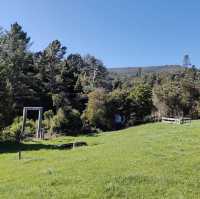 Salisbury Falls – A Summer Gem of Golden Bay