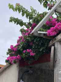 ☀️澎湖：二崁聚落保存區 (Erkan Historic Village)🧧