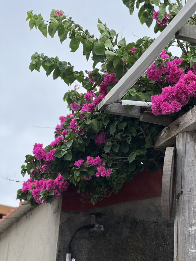 ☀️澎湖：二崁聚落保存區 (Erkan Historic Village)🧧