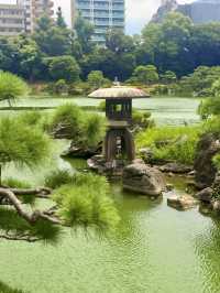 東京｜東京最美的清澄庭園 三菱創辦人的插柳成蔭