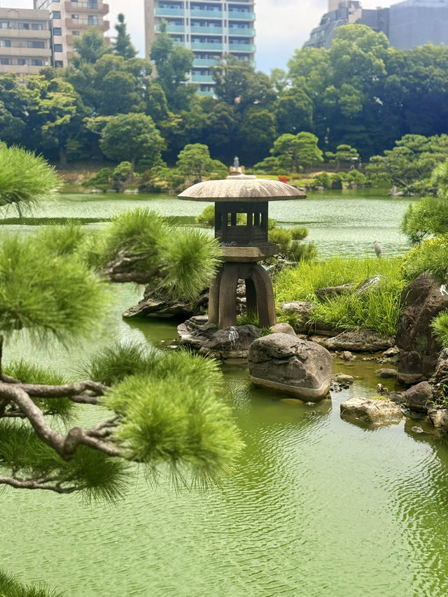 東京｜東京最美的清澄庭園 三菱創辦人的插柳成蔭