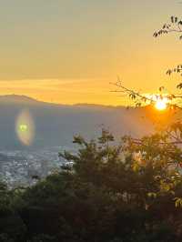 江戸時代以前の天守が残る松山城 