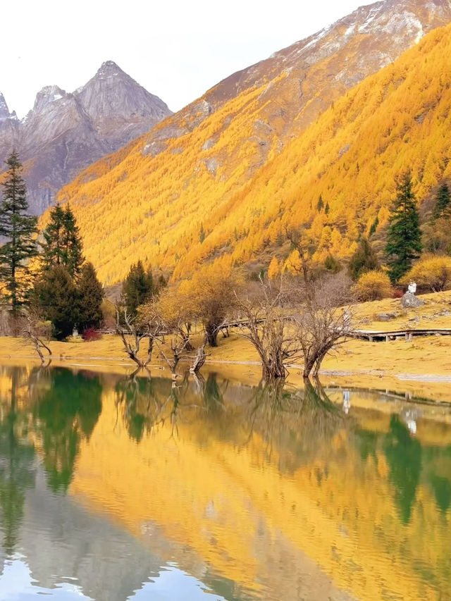 Autumn Serenity🍁