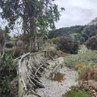 Auckland Botanic Gardens