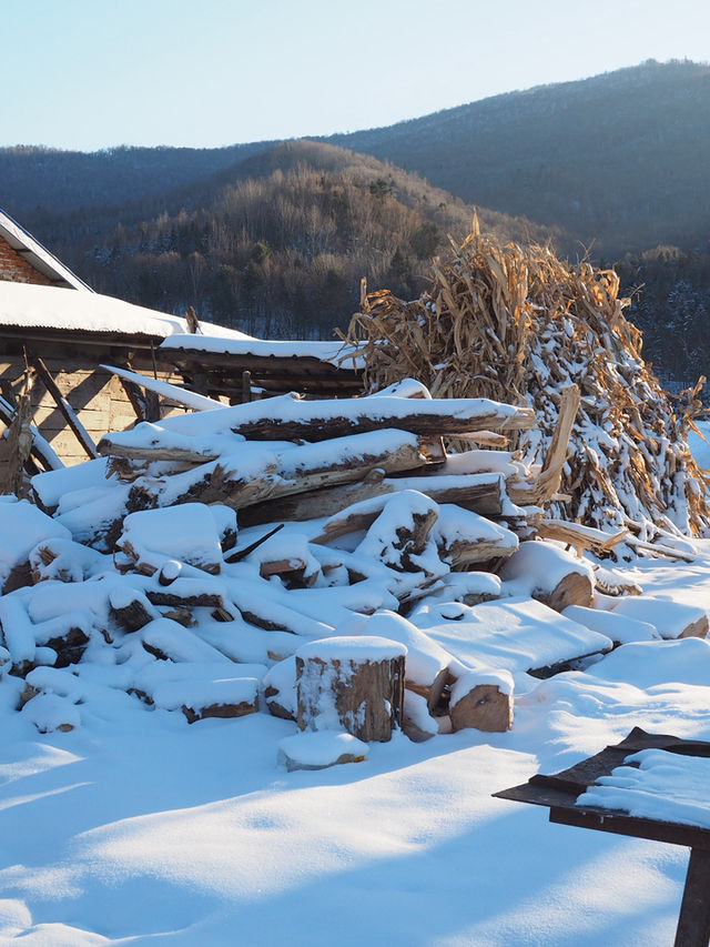 China Snow Valley (中国雪谷) : สวรรค์แห่งหิมะขาวโพลน