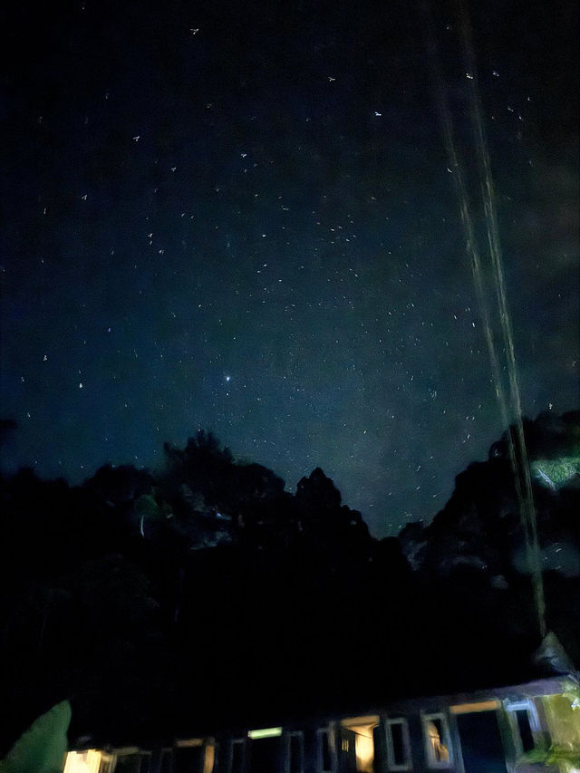 1StopBorneo Wildlife - Malaysia 