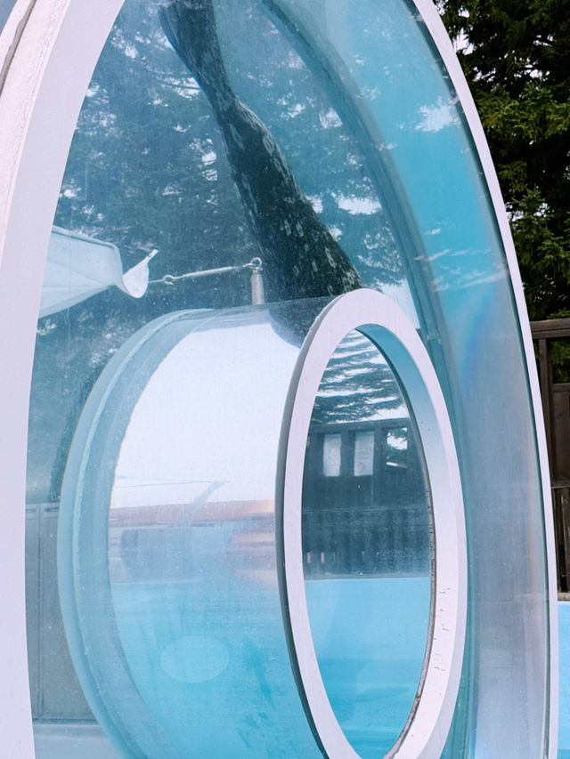 🐧【登別尼克斯海洋公園】親子必去!企鵝巡遊+沙丁魚風暴+童話城堡水族館 🐧【登別尼克斯海洋公園】親子必去!企鵝巡遊+沙丁魚風暴+童話城堡水族館