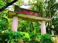 Ling Wan Monastery, Kwun Yam Shan – A Mountain Haven of Peace