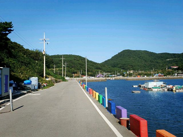 바다 위 흔들다리 🌊금오도 비렁길