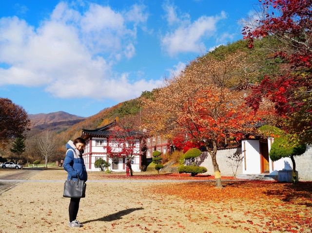 가을 인생샷 명소, 배론성지 여행
