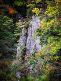 🌾 หุบเขานารุโกะ (Naruko Gorge, 鳴子峡)