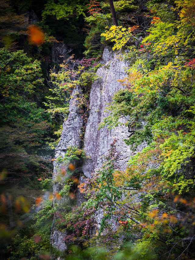 🌾 หุบเขานารุโกะ (Naruko Gorge, 鳴子峡)
