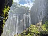 Great Nature Escape