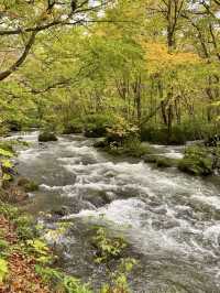 A Perfect Blend of Nature and Art in Towada 🍃🎨