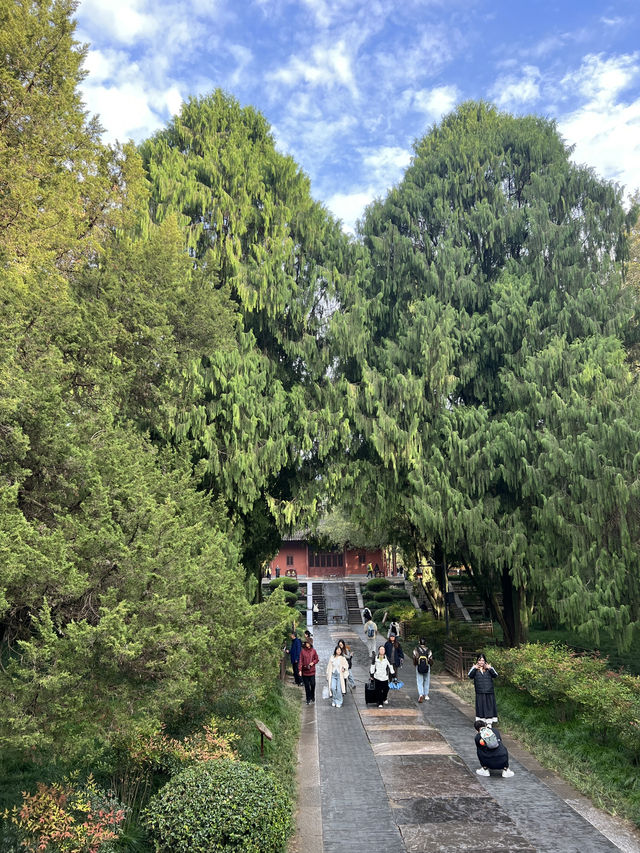 🇨🇳 History in the Clouds: Exploring Nanjing’s Purple Mountain (Zijin Shan) 🇨🇳 History in the Clouds: Exploring Nanjing’s Purple Mountain (Zijin Shan)