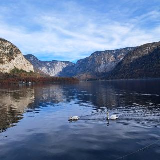 歐洲四國之旅【波蘭、捷克、德國、奧地利】