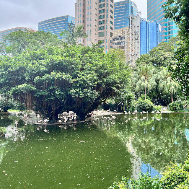 Kowloon Park 九龍公園