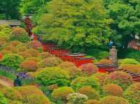 🌸 Nezu Shrine – A Serene Escape in Tokyo’s Old Neighborhood