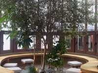 Where tradition meets tomorrow. 🌃 #Shanghai