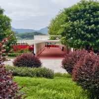 陰雨下散步櫸子洲靜謐草地  