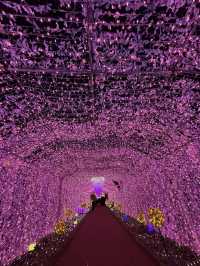 Quineville Fall Vibes & Fuji Views: Ultimate 3-Day Itinerary 🍁🌄