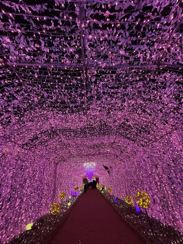 Quineville Fall Vibes & Fuji Views: Ultimate 3-Day Itinerary 🍁🌄