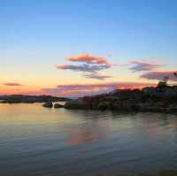 #mustvisit Tasmania 🩵🧡💜💚