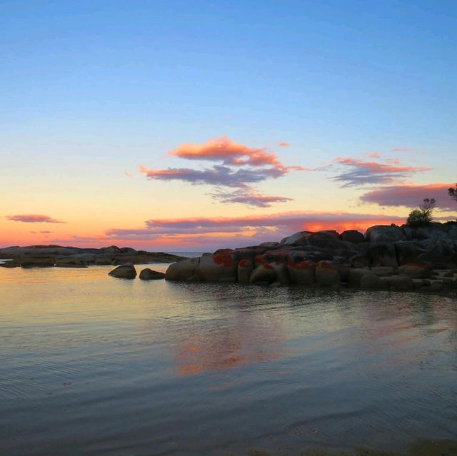 #mustvisit Tasmania 🩵🧡💜💚