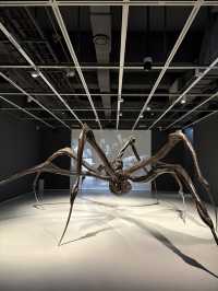 ํธ์๋ฏธ์ ๊ด ๋ฐ์ดํธ๐ซถ๐ป