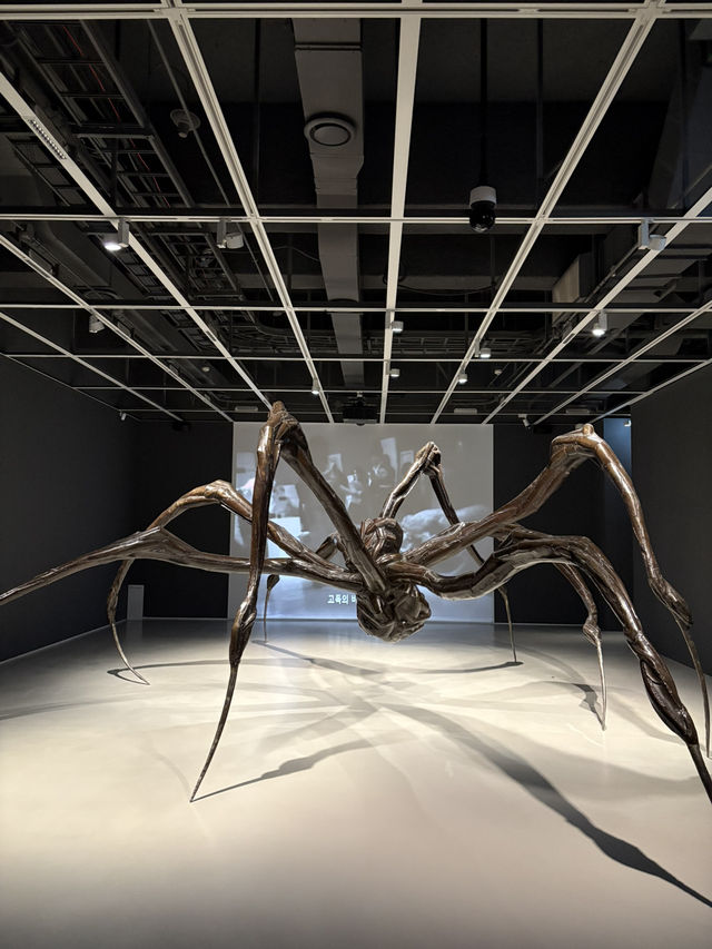 ํธ์๋ฏธ์ ๊ด ๋ฐ์ดํธ๐ซถ๐ป ํธ์๋ฏธ์ ๊ด ๋ฐ์ดํธ๐ซถ๐ป