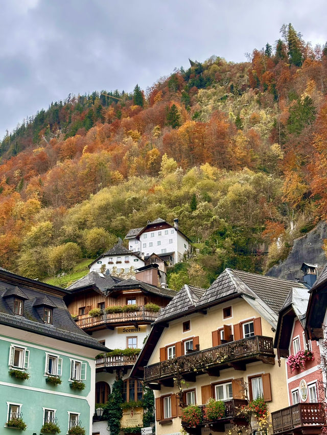 🏞️평화롭고 목가적인 풍경의 자연 명승지 할슈타트 여행가이드💚 🏞️평화롭고 목가적인 풍경의 자연 명승지 할슈타트 여행가이드💚
