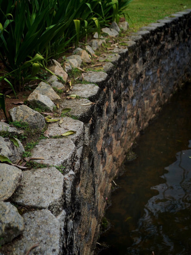 π Putrajaya Botanical Garden: A Green Paradise to Explore π π Putrajaya Botanical Garden: A Green Paradise to Explore π