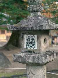 【奈良市】学問の神様も歌を詠んだ紅葉名所『手向山八幡宮』