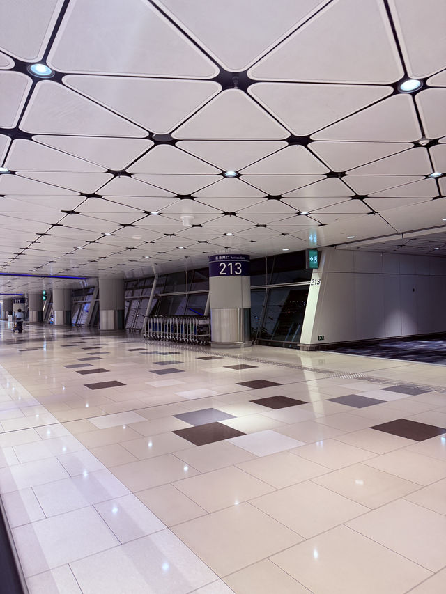 Travel Begins Here✈️ Travel Begins Here✈️