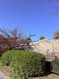 Castle Autumn Vibes🍁