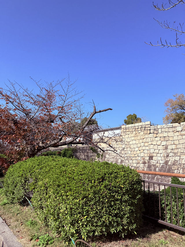 Castle Autumn Vibes🍁