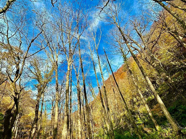 跟著松尾芭蕉的足跡～東北奧之細道賞楓