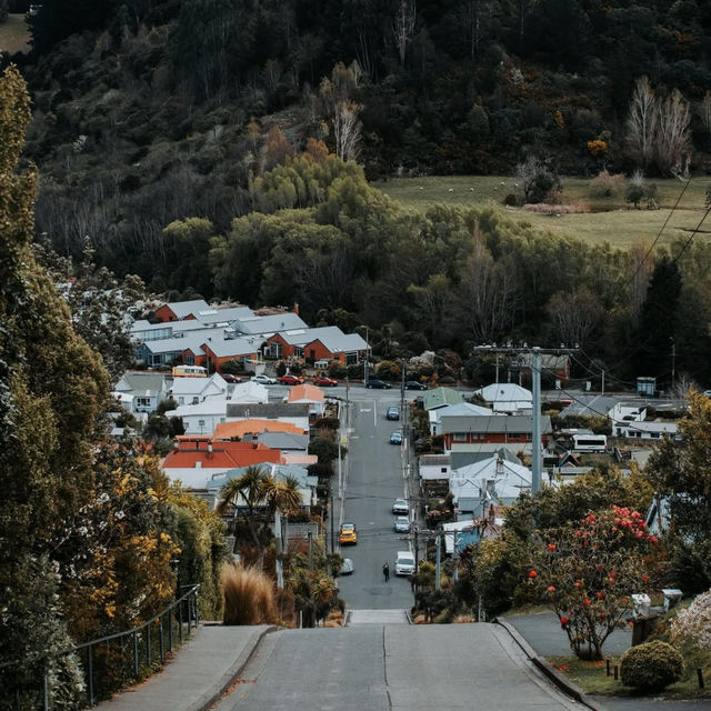 全球最斜街道步行挑戰🥾 全球最斜街道步行挑戰🥾