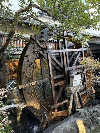 紅葉に包まれる癒しの古刹。深大寺で過ごす穏やかな時間