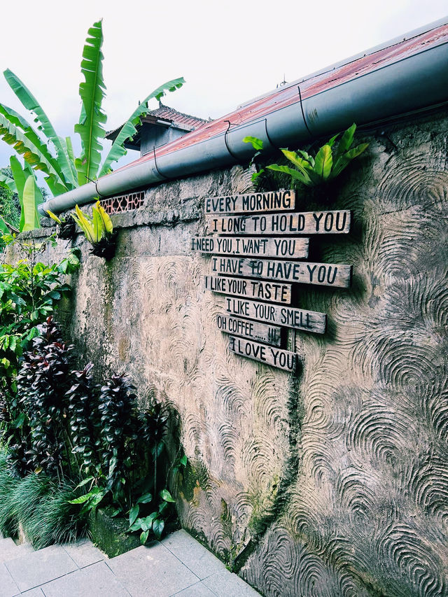 Bali Poolside 🍋 Bali Poolside 🍋