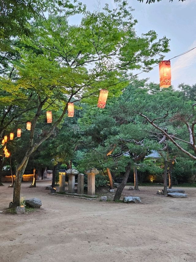 ✨ 한국민속촌 야간개장 전통 한옥 야경 산책코스