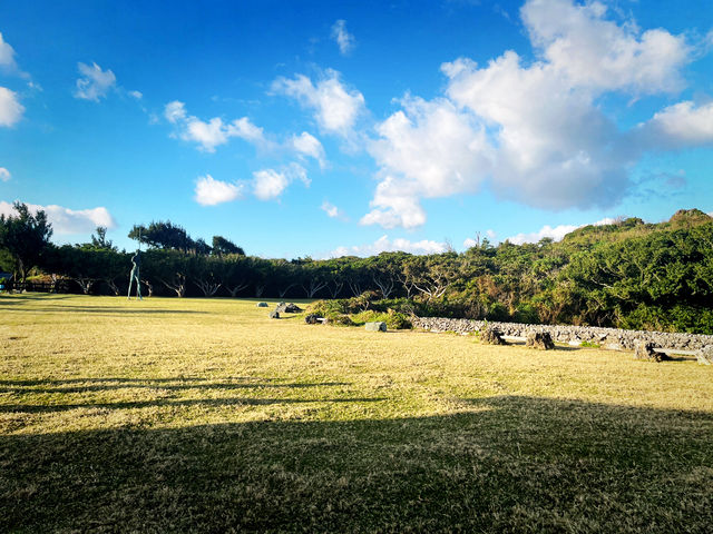 🎄 Festive Stroll & Scenic Escape at Maobitou Park 🎄 Festive Stroll & Scenic Escape at Maobitou Park