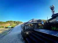 🎄 Festive Escape: Relax at Cat Nose Head