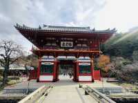 勝尾寺 応頂山 勝尾寺