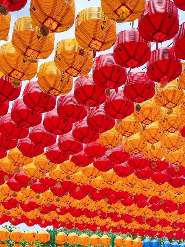 A Quiet Giant on Lantau Island