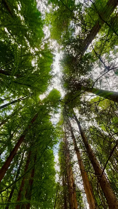 My POV : Yunnan Nationalities Village