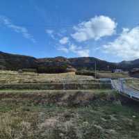 🇯🇵 구마모토 여행: 살아있는 아소산, 인생 돈카츠 '카츠레츠테이', 그리고 달콤한 디저트 투어 🍦