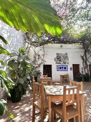 [โออาซากา, เม็กซิโก 🇲🇽] แกลเลอรีลับที่คุณสามารถเพลิดเพลินกับงานศิลปะและการอ่าน