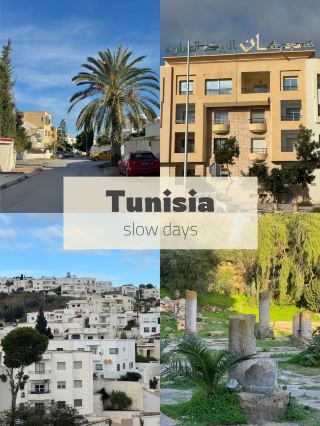 Walking Between the Mediterranean and Alleyways: A 5-Day Tunis Travel Itinerary