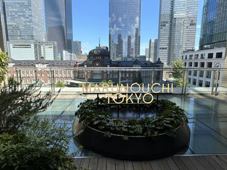 【東京站】自然與都市的打卡熱點及推薦餐廳3選